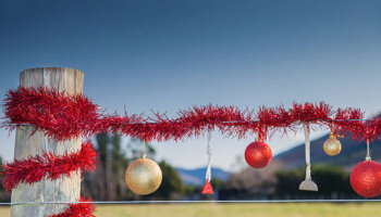 What you need to know about holidays and entitlements this festive season